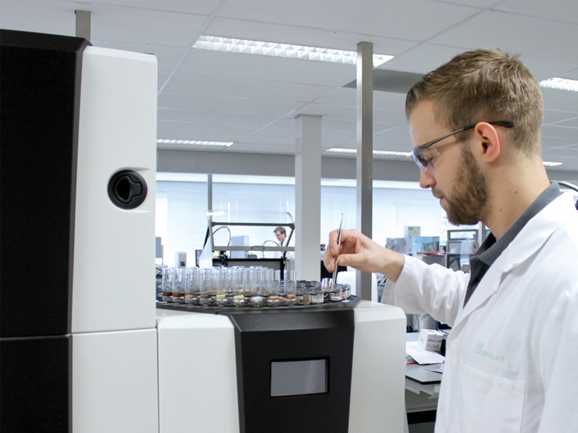 Careers Overview Skalar